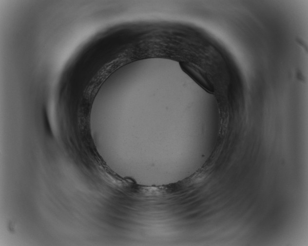 X0000103230239200809111537