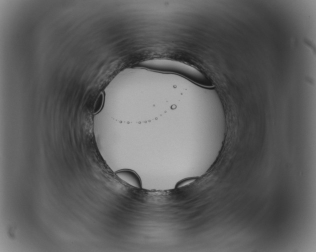 X0000103230240200809111537