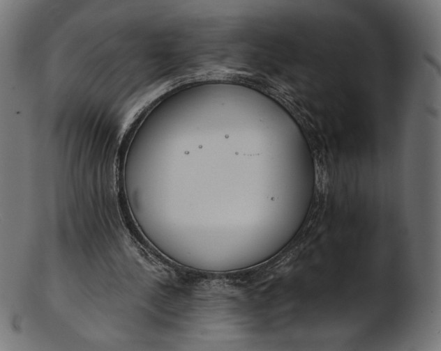 X0000103230244200809111536