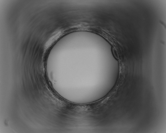 X0000103230245200809111536