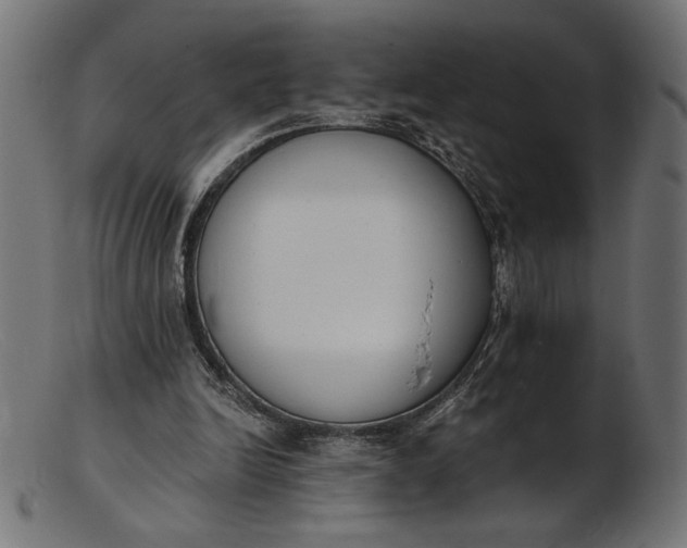 X0000103230246200809111536