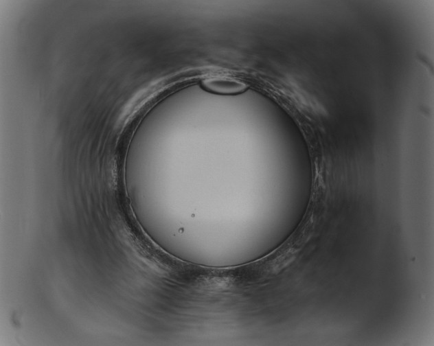 X0000103230247200809111536