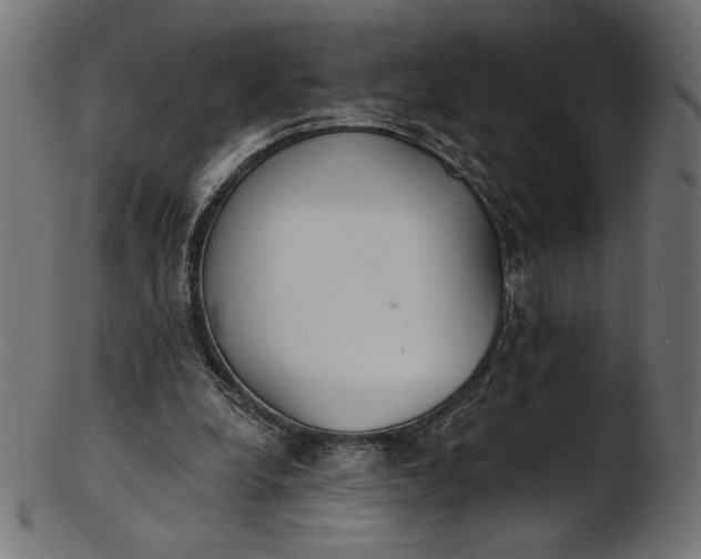 X0000103230248200809111536