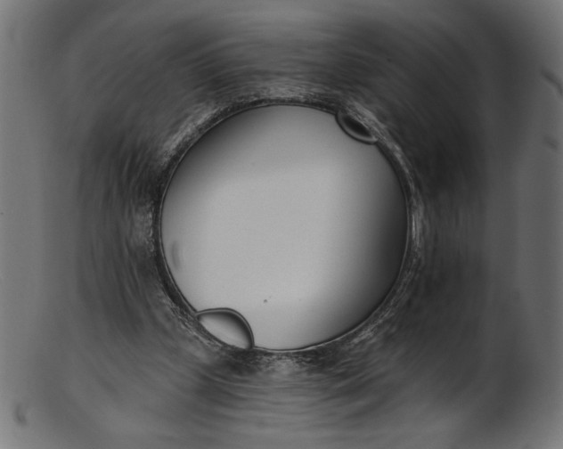 X0000103230249200809111536