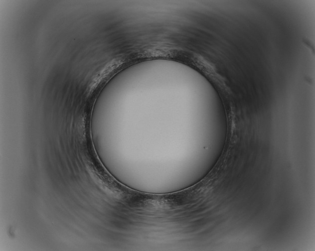 X0000103230250200809111536