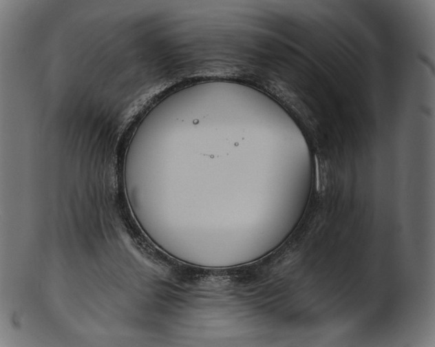X0000103230252200809111536