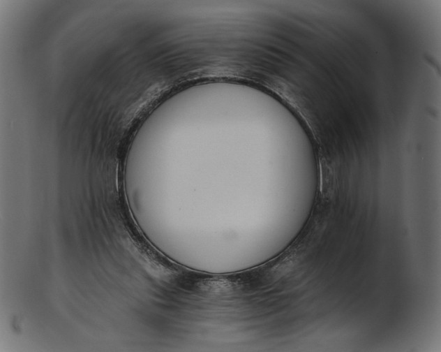 X0000103230253200809111536