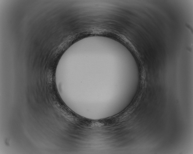 X0000103230257200809111536