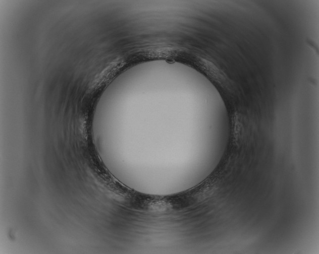 X0000103230258200809111536