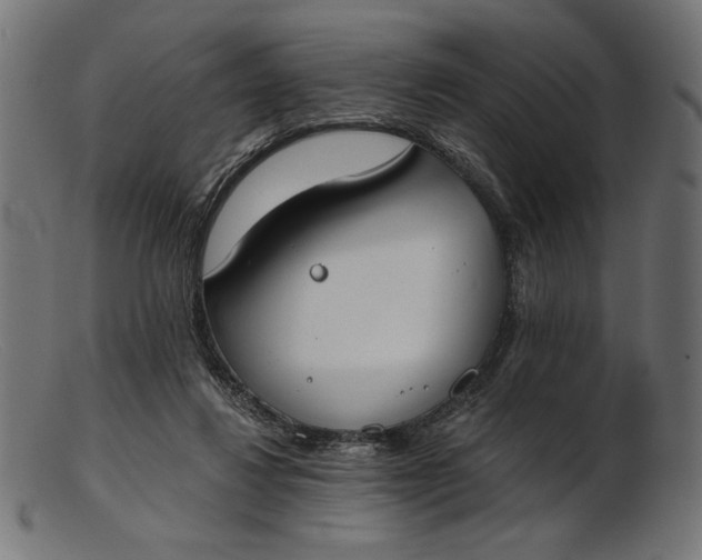 X0000103230260200809111536