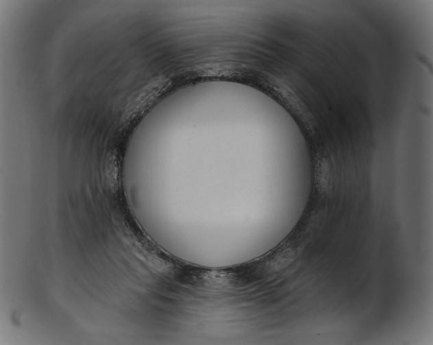 X0000103230261200809111536
