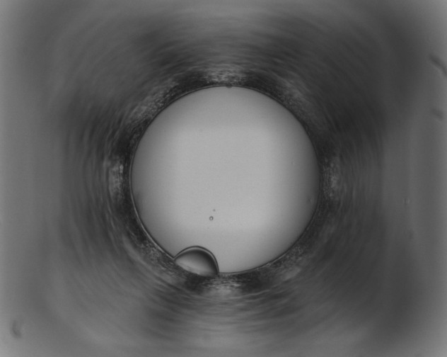 X0000103230263200809111536