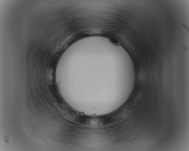 X0000103230264200809111537