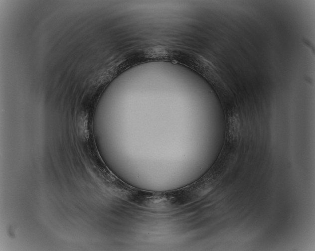 X0000103230267200809111537