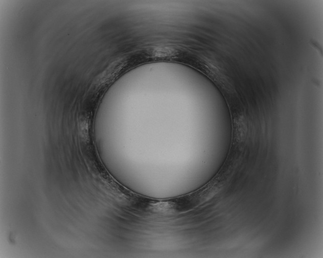 X0000103230269200809111537