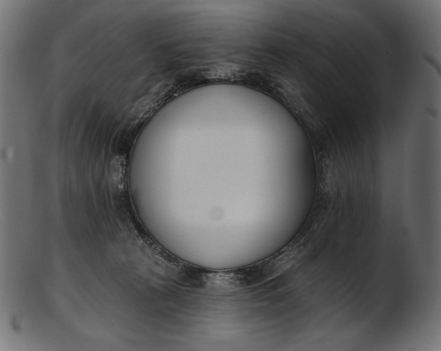 X0000103230273200809111537