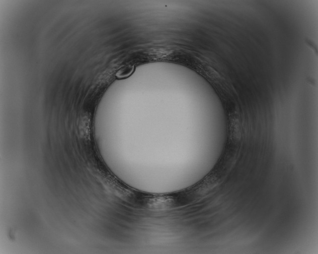 X0000103230274200809111537