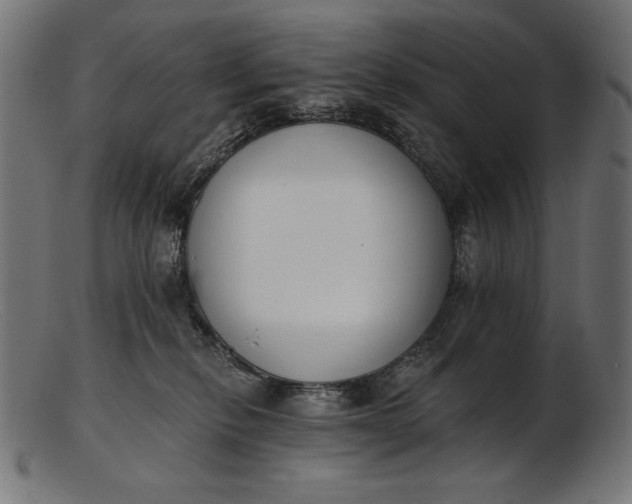 X0000103230278200809111537