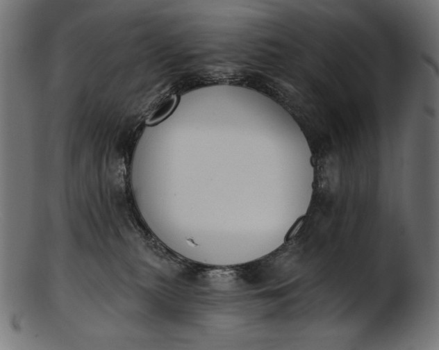 X0000103230279200809111537