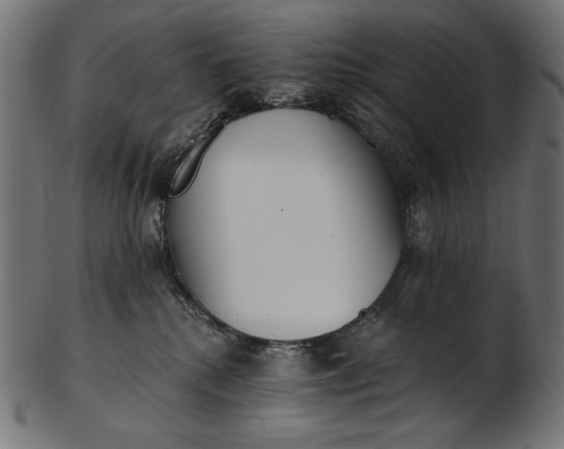 X0000103230280200809111537