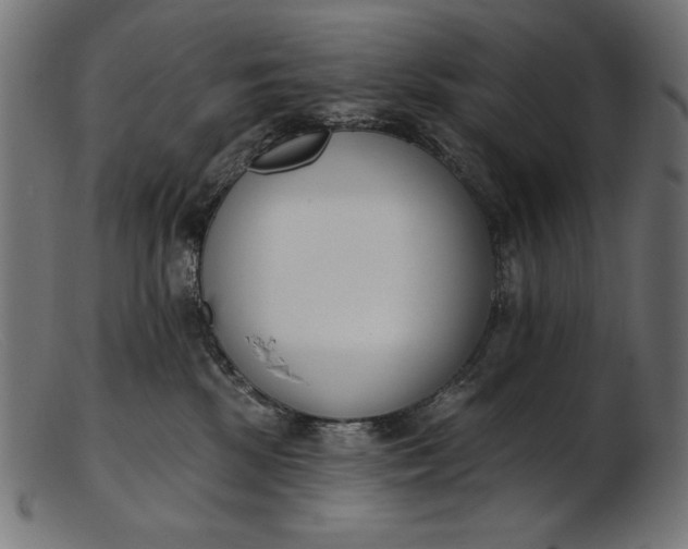 X0000103230281200809111537