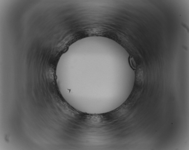 X0000103230282200809111537