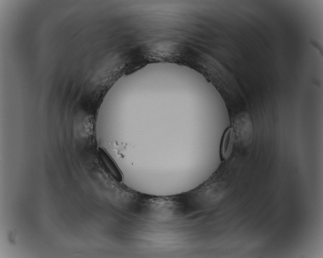 X0000103230284200809111537
