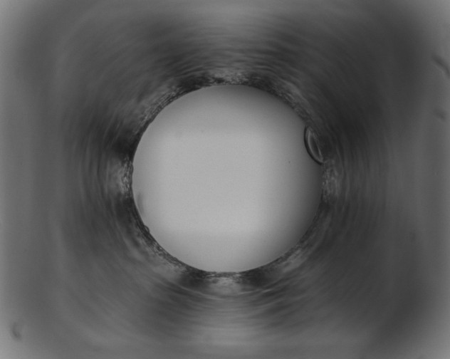 X0000103230285200809111537