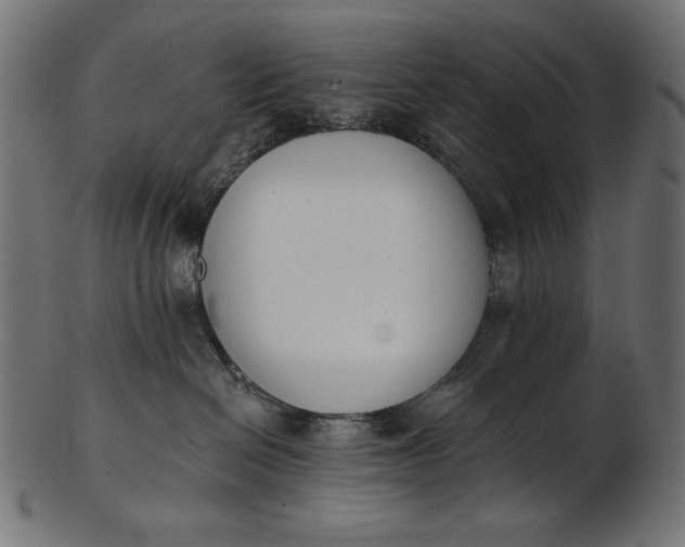 X0000103230286200809111537