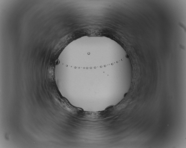 X0000103230288200809111537