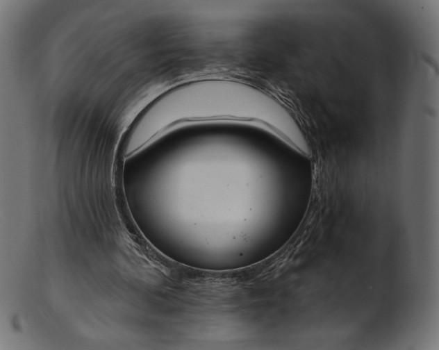 X0000103230292200809111536