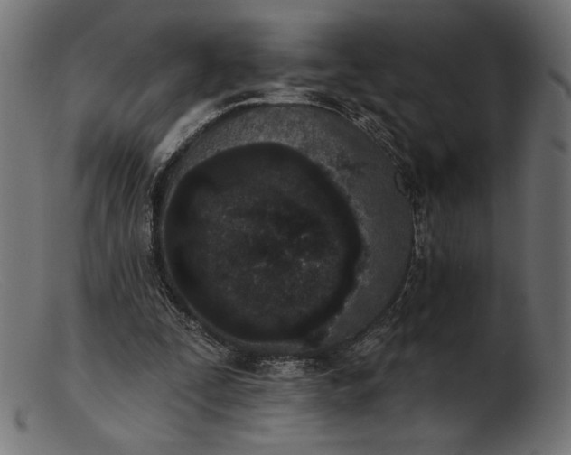 X0000103230295200809111536
