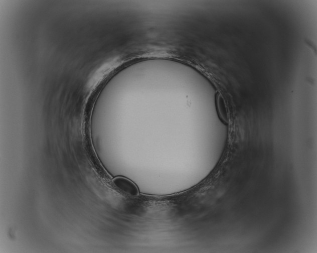 X0000103230296200809111536