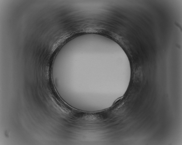 X0000103230299200809111536