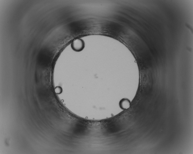 X0000103230301200809111536