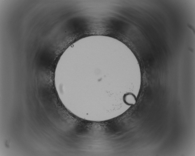 X0000103230305200809111536