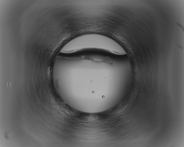 X0000103230308200809111536