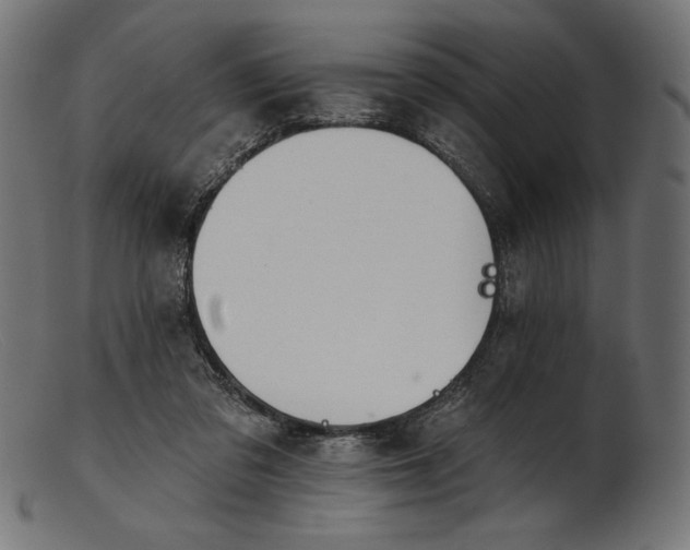X0000103230309200809111536
