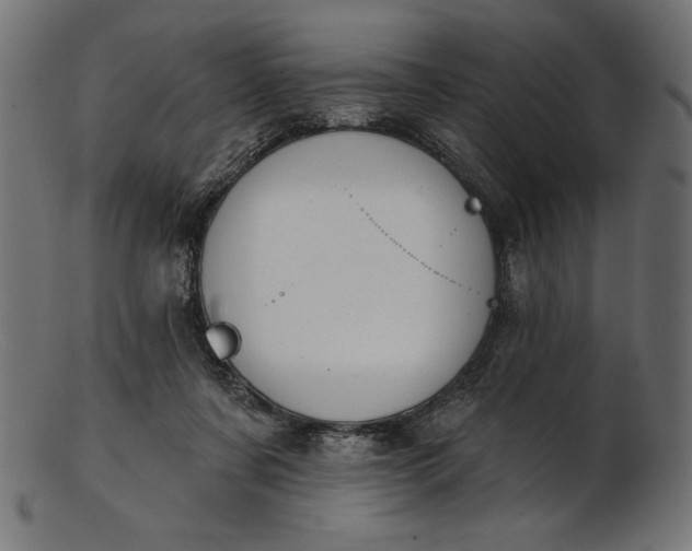 X0000103230311200809111536