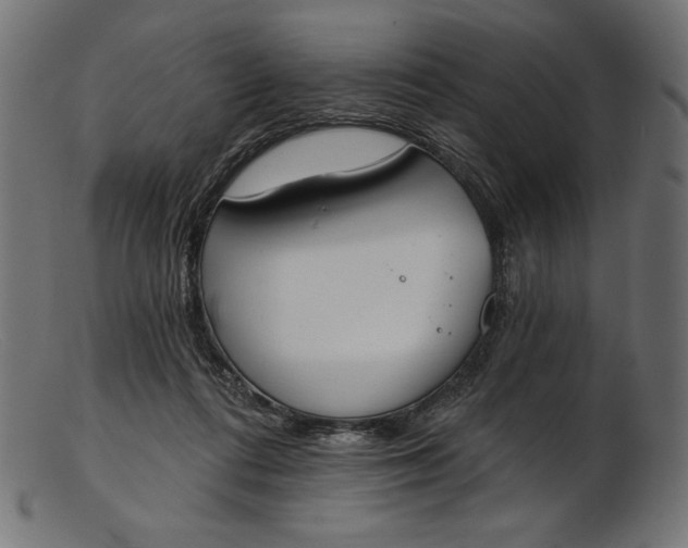 X0000103230312200809111536