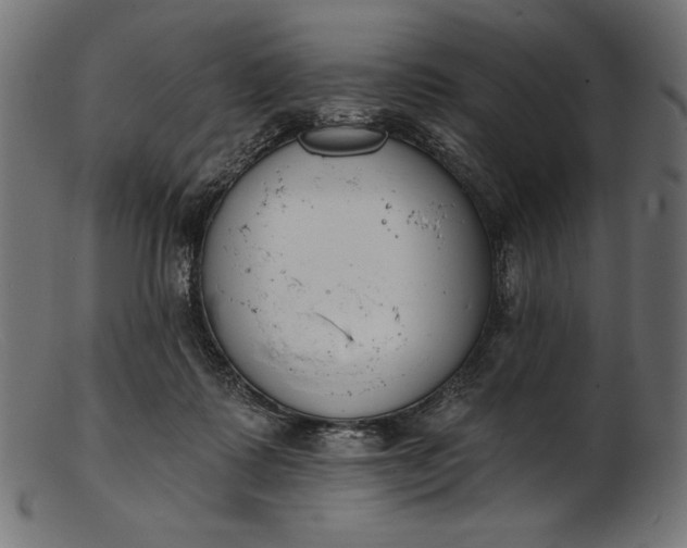 X0000103230315200809111536