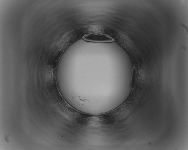X0000103230320200809111536
