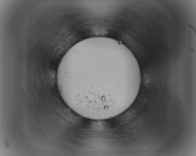 X0000103230321200809111536