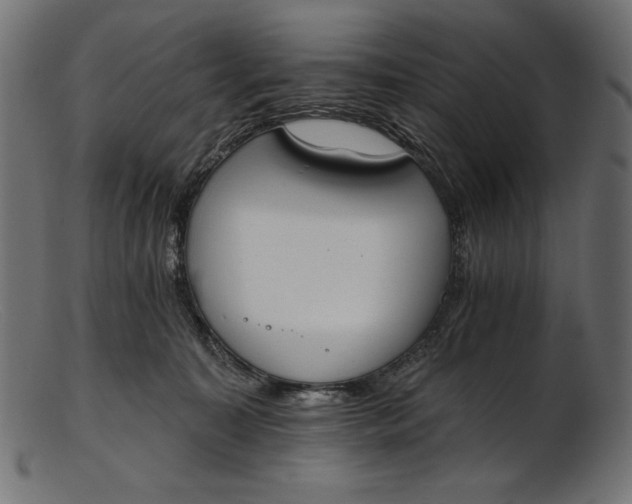 X0000103230323200809111536