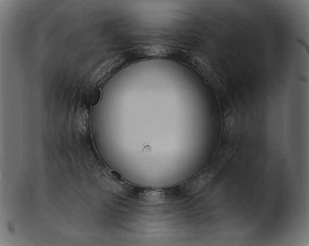 X0000103230325200809111536
