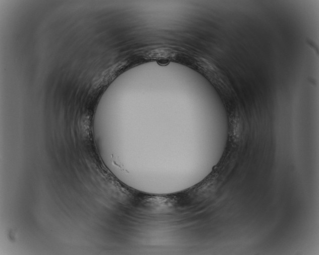 X0000103230326200809111535