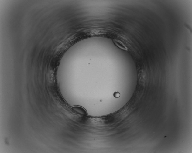 X0000103230327200809111535