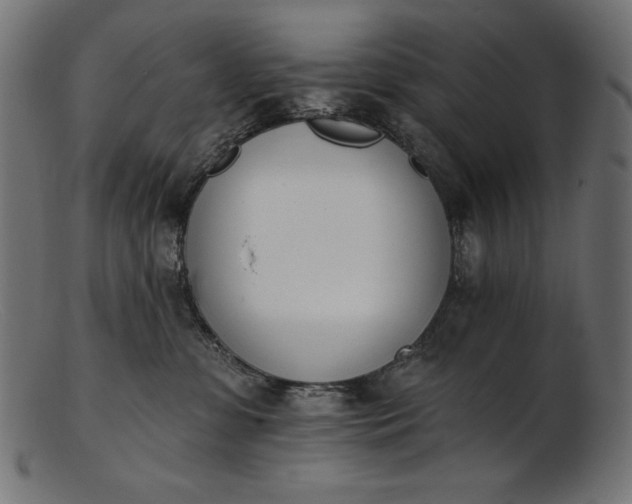 X0000103230331200809111535