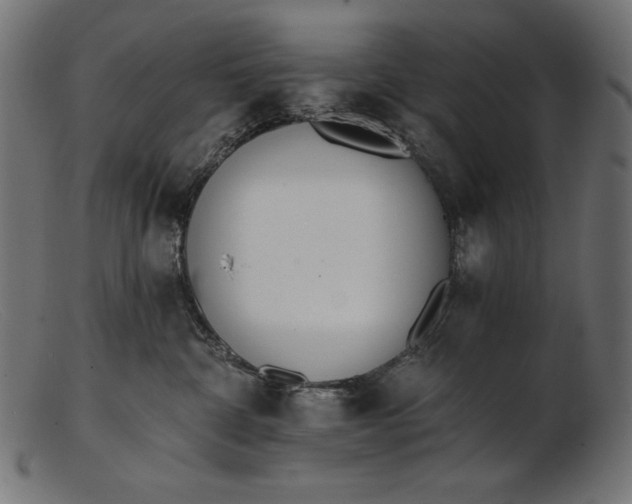 X0000103230332200809111535