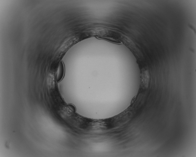 X0000103230333200809111535